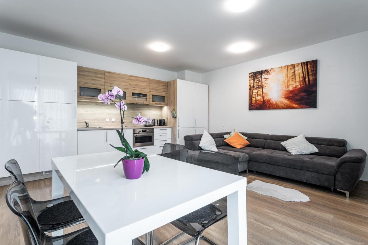 Mountain Apartments Klinovec Hexagon Loučná pod Klínovcem Eksteriør billede