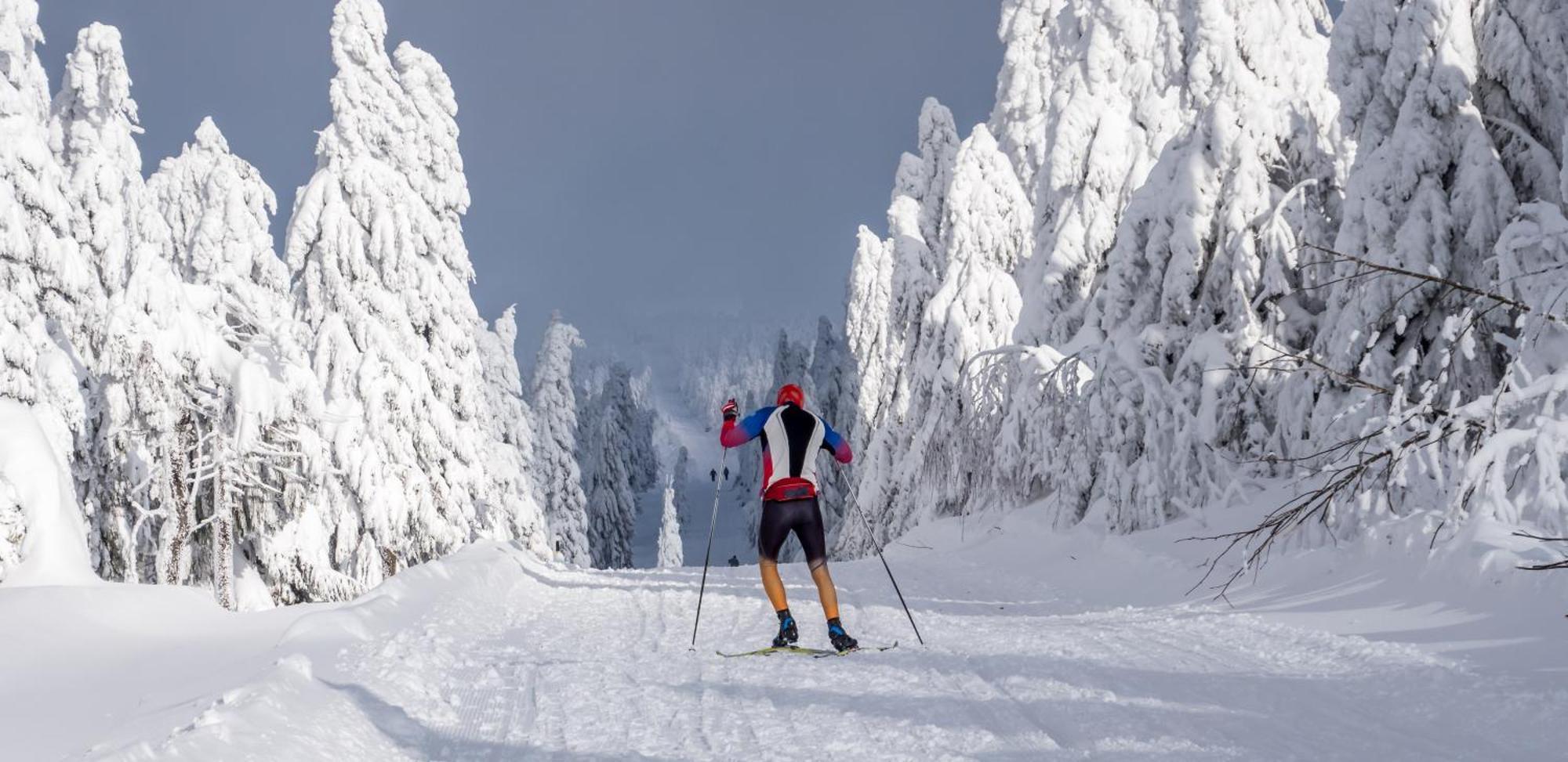 Mountain Apartments Klinovec Hexagon Loučná pod Klínovcem Eksteriør billede