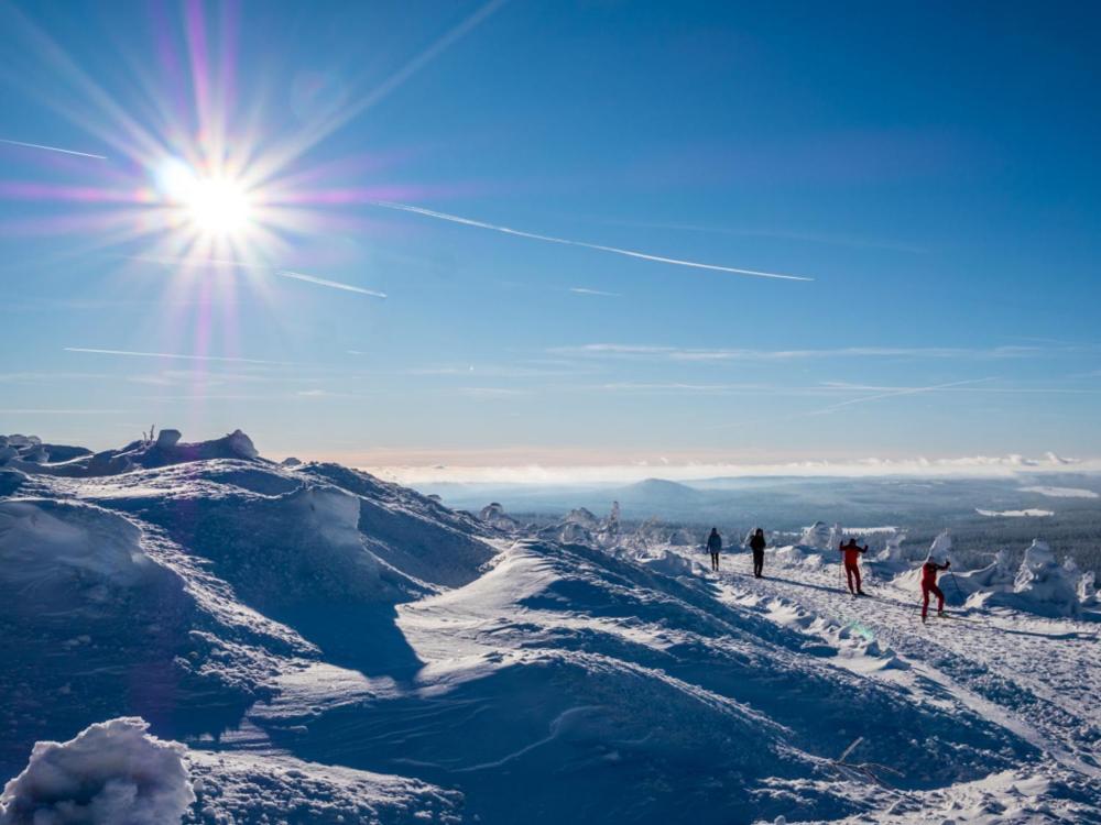 Mountain Apartments Klinovec Hexagon Loučná pod Klínovcem Eksteriør billede